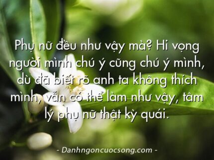 Phụ nữ đều như vậy mà? Hi vọng người mình chú ý cũng chú ý mình, dù đã biết rõ anh ta không thích mình, vẫn có thể làm như vậy, tâm lý phụ nữ thật kỳ quái.