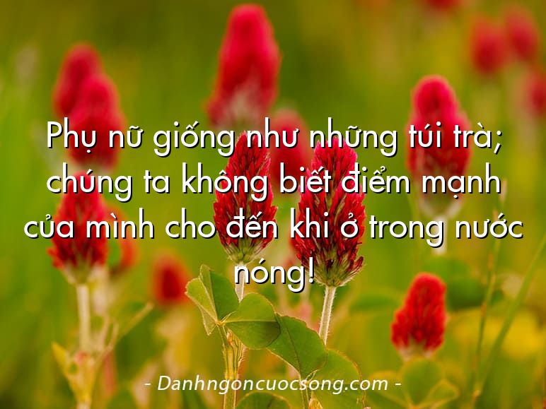 Phụ nữ giống như những túi trà; chúng ta không biết điểm mạnh của mình cho đến khi ở trong nước nóng!