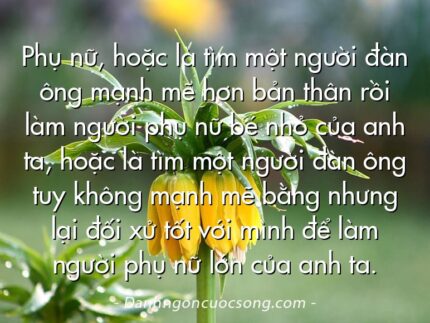 Phụ nữ, hoặc là tìm một người đàn ông mạnh mẽ hơn bản thân rồi làm người phụ nữ bé nhỏ của anh ta, hoặc là tìm một người đàn ông tuy không mạnh mẽ bằng nhưng lại đối xử tốt với mình để làm người phụ nữ lớn của anh ta.