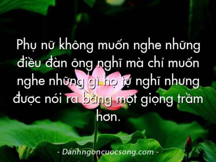 Phụ nữ không muốn nghe những điều đàn ông nghĩ mà chỉ muốn nghe những gì họ tự nghĩ nhưng được nói ra bằng một giọng trầm hơn.