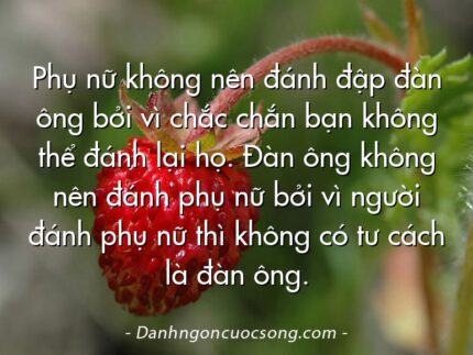Phụ nữ không nên đánh đập đàn ông bởi vì chắc chắn bạn không thể đánh lại họ. Đàn ông không nên đánh phụ nữ bởi vì người đánh phụ nữ thì không có tư cách là đàn ông.