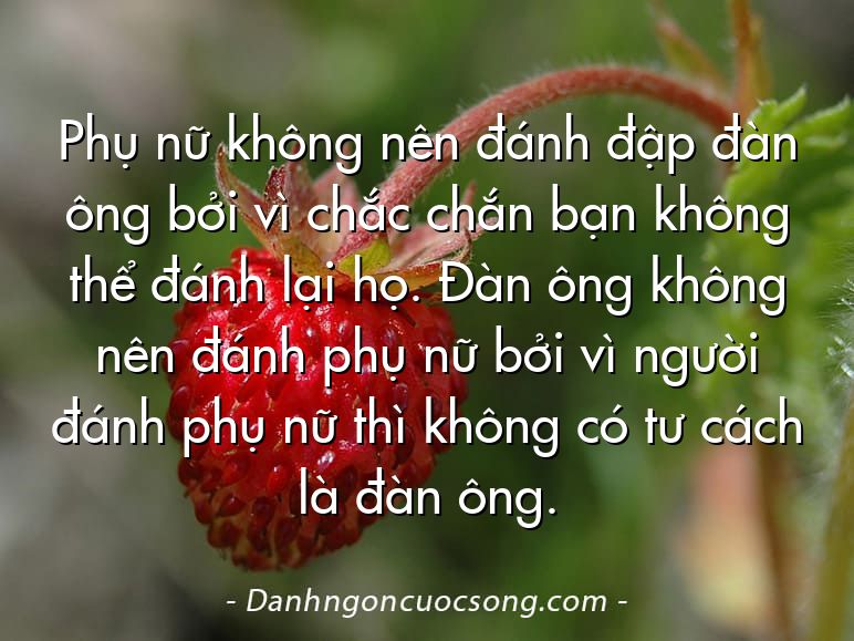 Phụ nữ không nên đánh đập đàn ông bởi vì chắc chắn bạn không thể đánh lại họ. Đàn ông không nên đánh phụ nữ bởi vì người đánh phụ nữ thì không có tư cách là đàn ông.