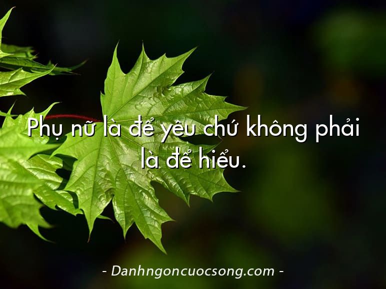Phụ nữ là để yêu chứ không phải là để hiểu.