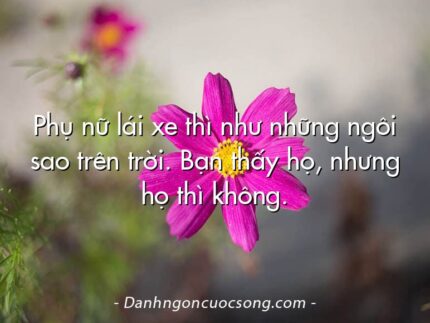 Phụ nữ lái xe thì như những ngôi sao trên trời. Bạn thấy họ, nhưng họ thì không.