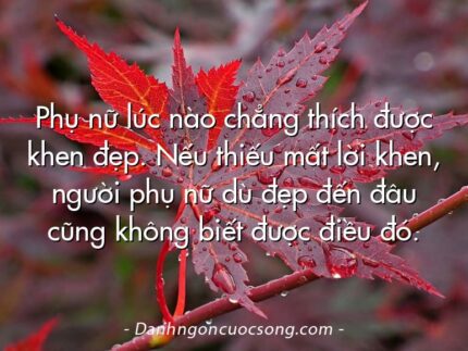 Phụ nữ lúc nào chẳng thích được khen đẹp. Nếu thiếu mất lời khen, người phụ nữ dù đẹp đến đâu cũng không biết được điều đó.