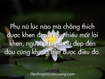 Phụ nữ lúc nào mà chẳng thích được khen đẹp. Nếu thiếu mất lời khen, người phụ nữ dù đẹp đến đâu cũng không biết được điều đó.