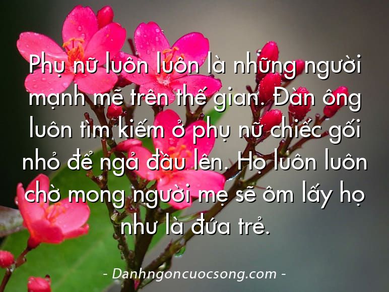 Phụ nữ luôn luôn là những người mạnh mẽ trên thế gian. Đàn ông luôn tìm kiếm ở phụ nữ chiếc gối nhỏ để ngả đầu lên. Họ luôn luôn chờ mong người mẹ sẽ ôm lấy họ như là đứa trẻ.