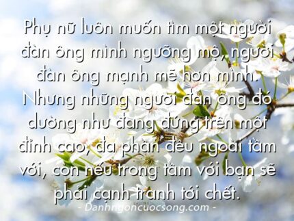 Phụ nữ luôn muốn tìm một người đàn ông mình ngưỡng mộ, người đàn ông mạnh mẽ hơn mình. Nhưng những người đàn ông đó dường như đang đứng trên một đỉnh cao, đa phần đều ngoài tầm với, còn nếu trong tầm với bạn sẽ phải cạnh tranh tới chết.