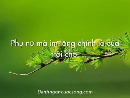Phụ nữ mà im lặng chính là của trời cho.
