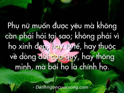 Phụ nữ muốn được yêu mà không cần phải hỏi tại sao; không phải vì họ xinh đẹp, hay tử tế, hay thuộc về dòng dõi cao quý, hay thông minh, mà bởi họ là chính họ.