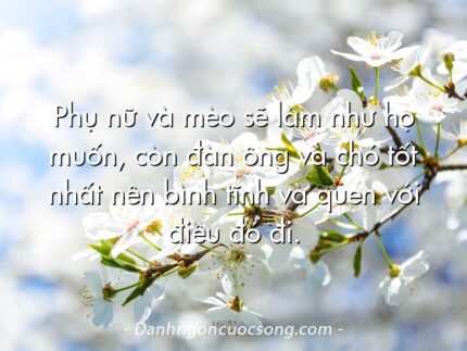 Phụ nữ và mèo sẽ làm như họ muốn, còn đàn ông và chó tốt nhất nên bình tĩnh và quen với điều đó đi.