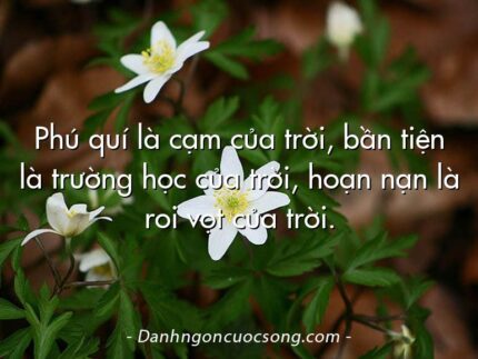 Phú quí là cạm của trời, bần tiện là trường học của trời, hoạn nạn là roi vọt của trời.