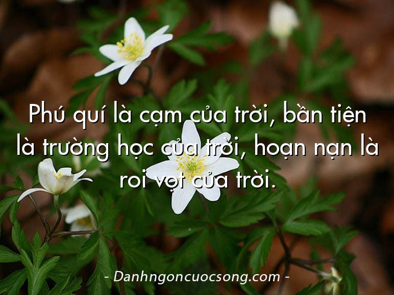 Phú quí là cạm của trời, bần tiện là trường học của trời, hoạn nạn là roi vọt của trời.