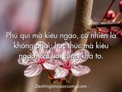 Phú quí mà kiêu ngạo, cố nhiên là không phải; học thức mà kiêu ngạo, cái hại cũng khá to.