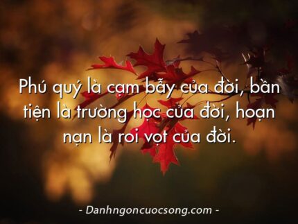 Phú quý là cạm bẫy của đời, bần tiện là trường học của đời, hoạn nạn là roi vọt của đời.