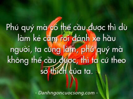 Phú quý mà có thể cầu được thì dù làm kẻ cầm roi đánh xe hầu người, ta cũng làm, phú quý mà không thể cầu được, thì ta cứ theo sở thích của ta.