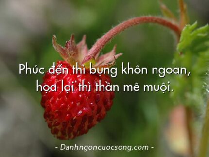 Phúc đến thì bụng khôn ngoan, họa lại thì thần mê muội.