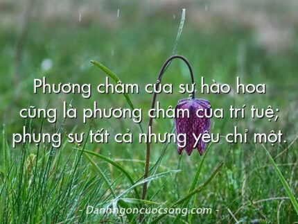 Phương châm của sự hào hoa cũng là phương châm của trí tuệ; phụng sự tất cả nhưng yêu chỉ một.