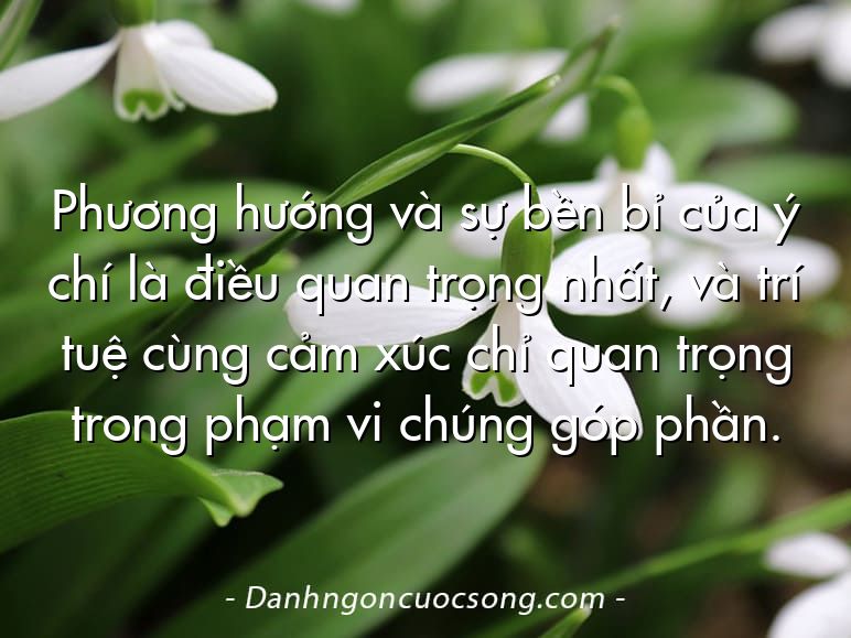 Phương hướng và sự bền bỉ của ý chí là điều quan trọng nhất, và trí tuệ cùng cảm xúc chỉ quan trọng trong phạm vi chúng góp phần.