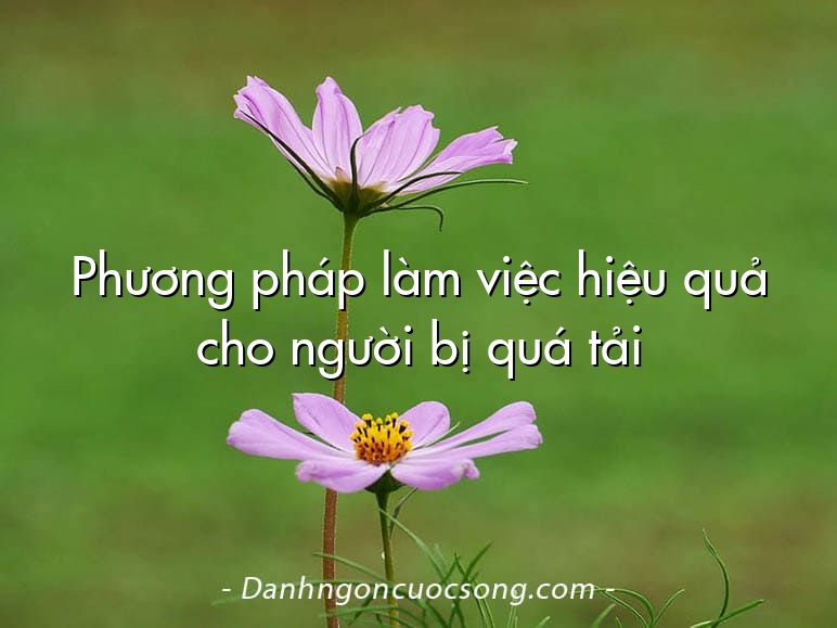 Phương pháp làm việc hiệu quả cho người bị quá tải