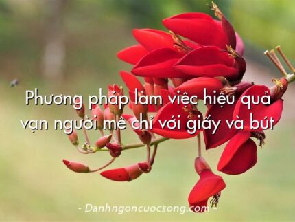 Phương pháp làm việc hiệu quả vạn người mê chỉ với giấy và bút