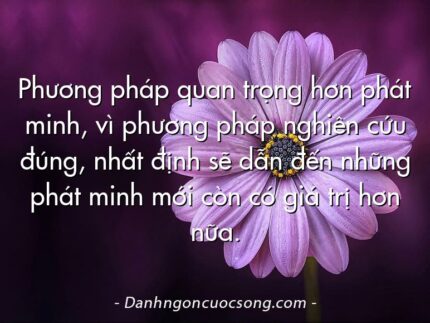 Phương pháp quan trọng hơn phát minh, vì phương pháp nghiên cứu đúng, nhất định sẽ dẫn đến những phát minh mới còn có giá trị hơn nữa.