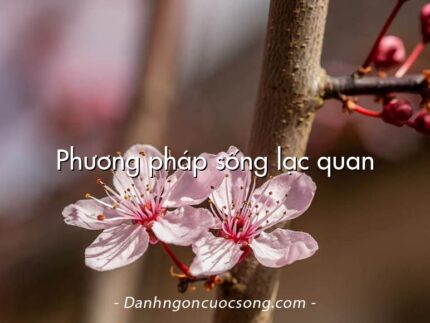 Phương pháp sống lạc quan