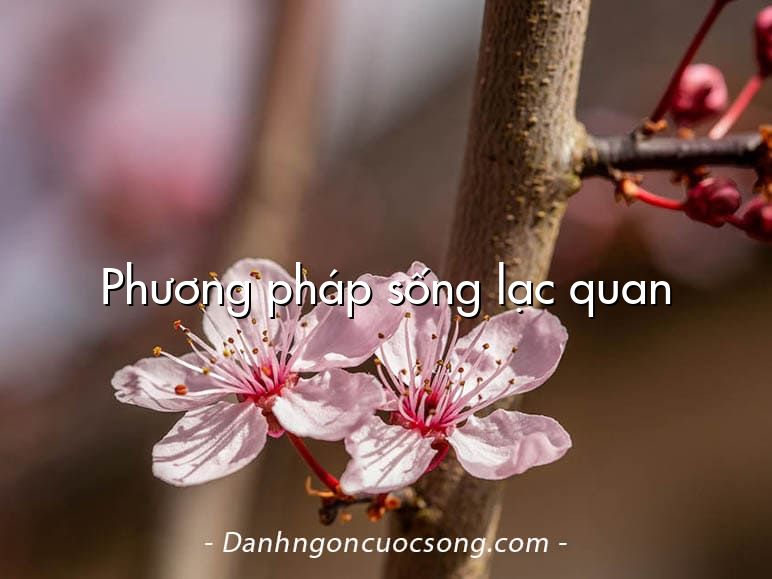 Phương pháp sống lạc quan