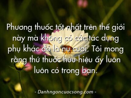Phương thuốc tốt nhất trên thế giới này mà không có các tác dụng phụ khác đó là nụ cười. Tôi mong rằng thứ thuốc hữu hiệu ấy luôn luôn có trong bạn.