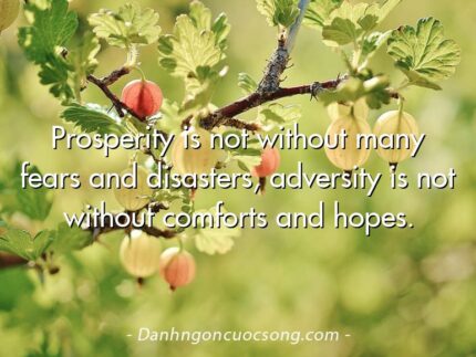 Prosperity is not without many fears and disasters, adversity is not without comforts and hopes.
