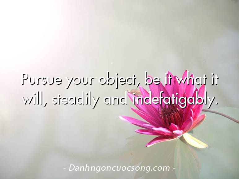 Pursue your object, be it what it will, steadily and indefatigably.