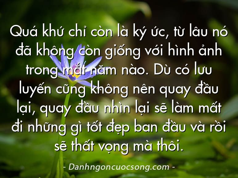 Quá khứ chỉ còn là ký ức, từ lâu nó đã không còn giống với hình ảnh trong mắt năm nào. Dù có lưu luyến cũng không nên quay đầu lại, quay đầu nhìn lại sẽ làm mất đi những gì tốt đẹp ban đầu và rồi sẽ thất vọng mà thôi.