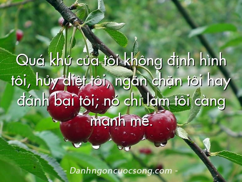 Quá khứ của tôi không định hình tôi, hủy diệt tôi, ngăn chặn tôi hay đánh bại tôi; nó chỉ làm tôi càng mạnh mẽ.