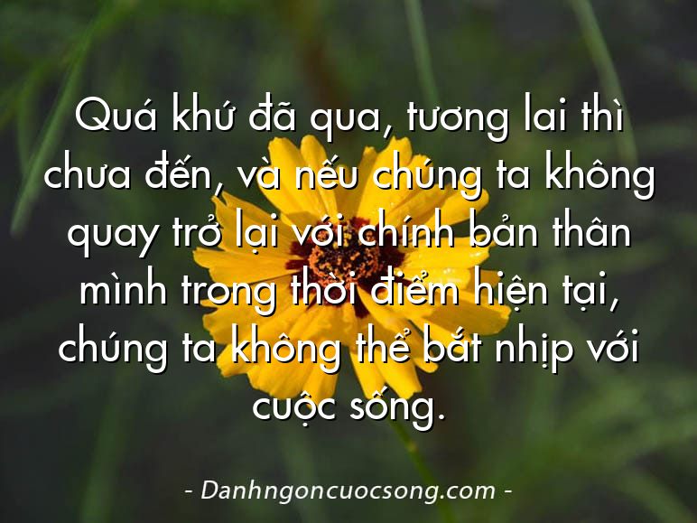 Quá khứ đã qua, tương lai thì chưa đến, và nếu chúng ta không quay trở lại với chính bản thân mình trong thời điểm hiện tại, chúng ta không thể bắt nhịp với cuộc sống.
