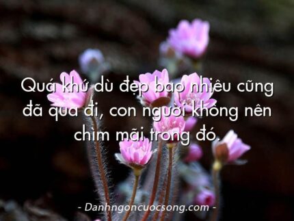 Quá khứ dù đẹp bao nhiêu cũng đã qua đi, con người không nên chìm mãi trong đó.