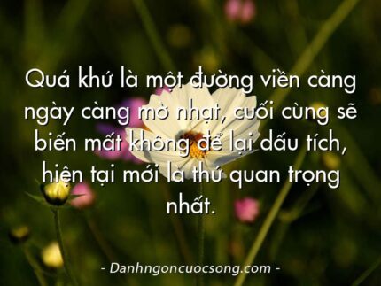 Quá khứ là một đường viền càng ngày càng mờ nhạt, cuối cùng sẽ biến mất không để lại dấu tích, hiện tại mới là thứ quan trọng nhất.