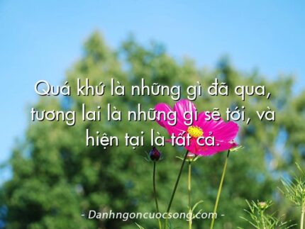 Quá khứ là những gì đã qua, tương lai là những gì sẽ tới, và hiện tại là tất cả.