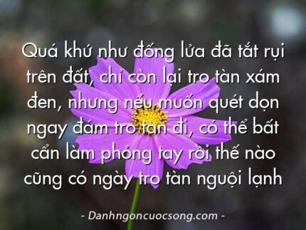 Quá khứ như đống lửa đã tắt rụi trên đất, chỉ còn lại tro tàn xám đen, nhưng nếu muốn quét dọn ngay đám tro tàn đi, có thể bất cẩn làm phỏng tay rồi thế nào cũng có ngày tro tàn nguội lạnh