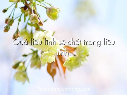 Quá liều lĩnh sẽ chết trong liều lĩnh.