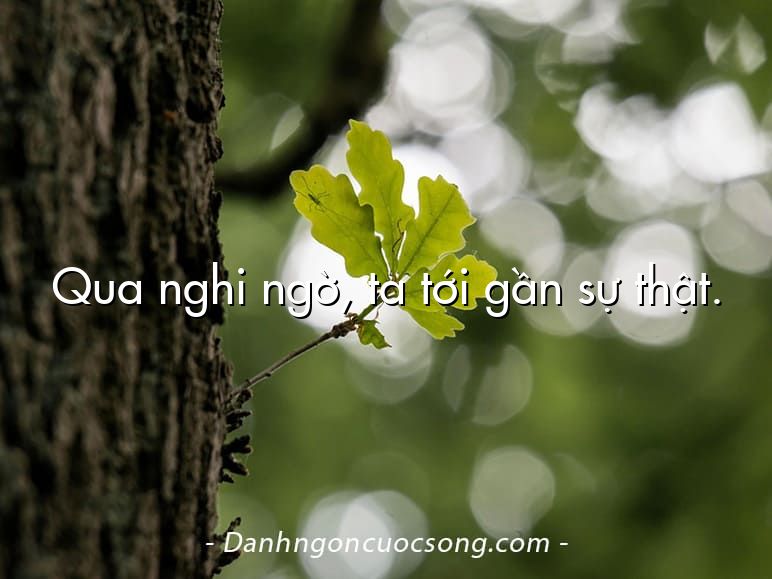 Qua nghi ngờ, ta tới gần sự thật.