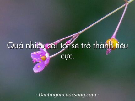 Quá nhiều cái tốt sẽ trở thành tiêu cực.