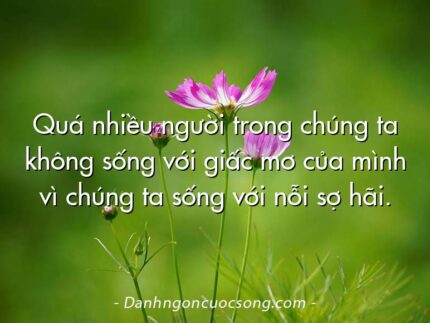 Quá nhiều người trong chúng ta không sống với giấc mơ của mình vì chúng ta sống với nỗi sợ hãi.