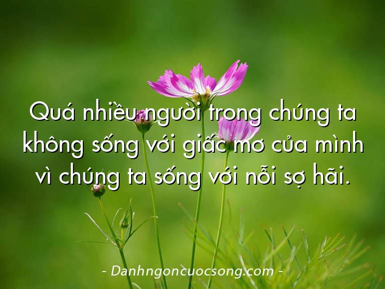 Quá nhiều người trong chúng ta không sống với giấc mơ của mình vì chúng ta sống với nỗi sợ hãi.