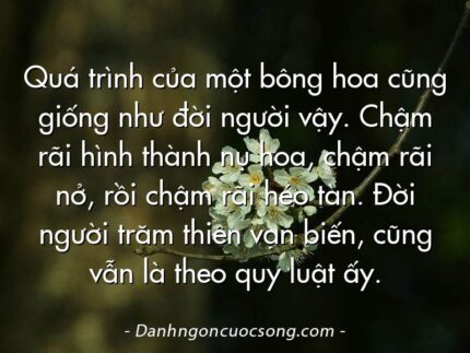 Quá trình của một bông hoa cũng giống như đời người vậy. Chậm rãi hình thành nụ hoa, chậm rãi nở, rồi chậm rãi héo tàn. Đời người trăm thiên vạn biến, cũng vẫn là theo quy luật ấy.