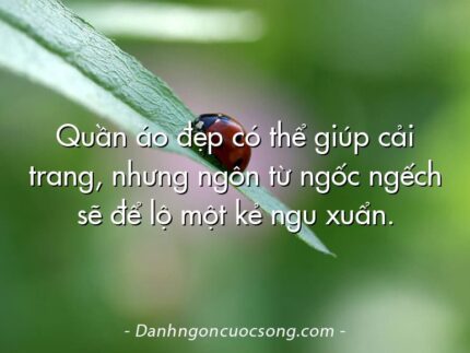 Quần áo đẹp có thể giúp cải trang, nhưng ngôn từ ngốc ngếch sẽ để lộ một kẻ ngu xuẩn.