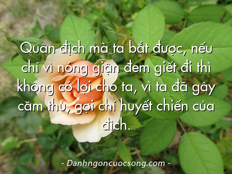 Quân địch mà ta bắt được, nếu chỉ vì nóng giận đem giết đi thì không có lợi cho ta, vì ta đã gây căm thù, gợi chí huyết chiến của địch.