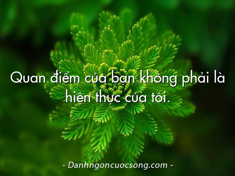 Quan điểm của bạn không phải là hiện thực của tôi.