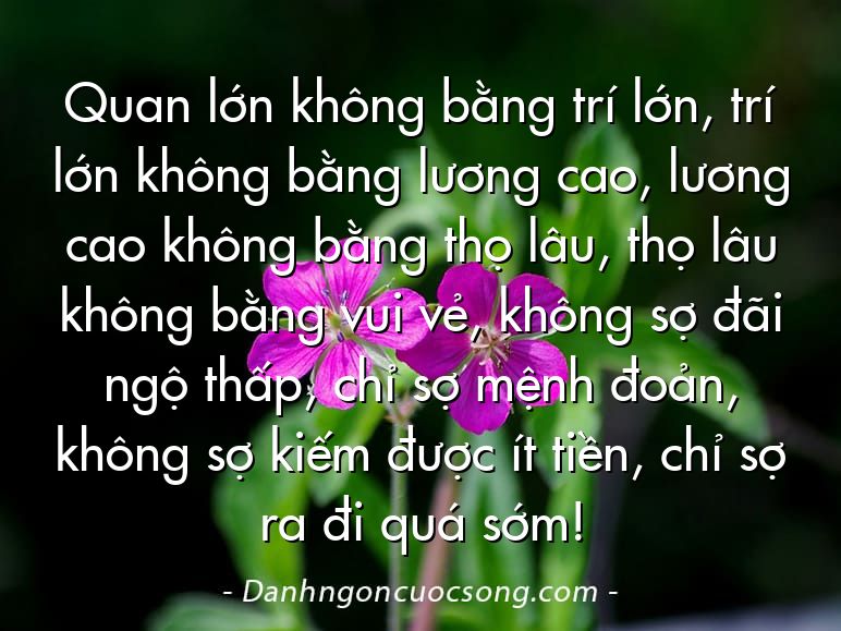 Quan lớn không bằng trí lớn, trí lớn không bằng lương cao, lương cao không bằng thọ lâu, thọ lâu không bằng vui vẻ, không sợ đãi ngộ thấp, chỉ sợ mệnh đoản, không sợ kiếm được ít tiền, chỉ sợ ra đi quá sớm!