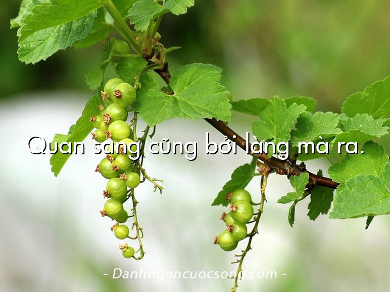 Quan sang cũng bởi làng mà ra.