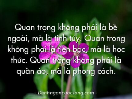 Quan trọng không phải là bề ngoài, mà là tinh túy. Quan trọng không phải là tiền bạc, mà là học thức. Quan trọng không phải là quần áo, mà là phong cách.